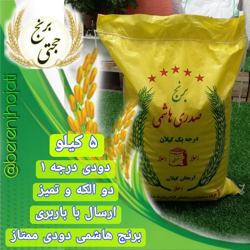 برنج هاشمی دودی درجه 1  محصول برنجکوبی حجتی (5 کیلویی) ارسال رایگان