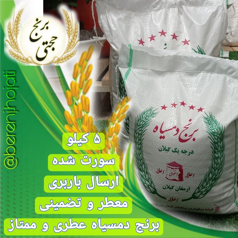 برنج دمسیاه ممتاز سورت شده و محصول برنجکوبی حجتی (5 کیلویی) ارسال رایگان به سراسر ایران عزیزمون 