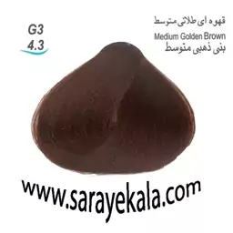 رنگ مو آرکیا Arkea سری طلایی G3