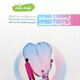 کتاب نیمه دیگرم جلد دوم از ما شدن تا تا شدن موانع ازدواج محسن عباسی ولدی