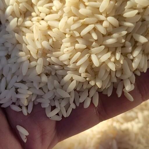 برنج چمپا 1 کیلویی