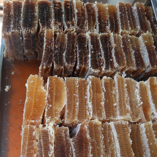 عسل گون باموم،دربسته بندیهای یک کیلویی ،بسیار با کیفیت،محصولی از دامنه های کوه سبلان،عسل نجف پور 