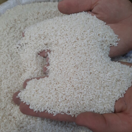برنج سر لاشه طارم معطر شمال بسته ی 10 کیلویی