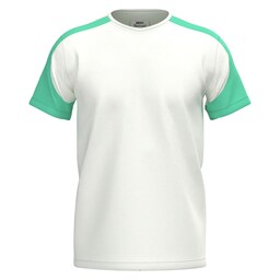تیشرت مردانه E115 برساد رنگ سفید-سبزآبی سایز 3XL