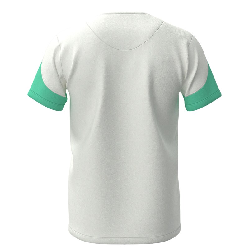 تیشرت مردانه E115 برساد رنگ سفید-سبزآبی سایز 2XL