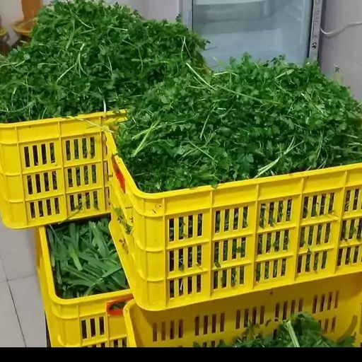 سبزی خورشتی خشک  کیلویی 650000