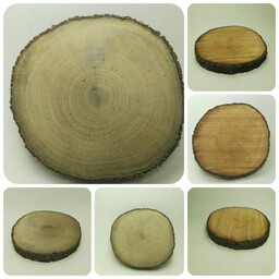 چوب کالباسی ، اسلایس چوب طبیعی قطر 15 تا 17سانت و ضخامت برش حدود دوسانت (18میل)