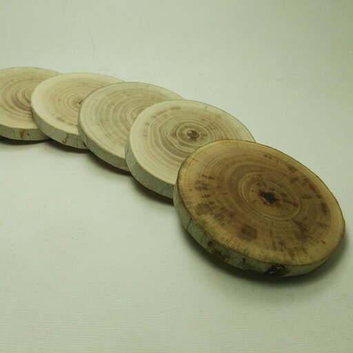 زیر لیوانی و زیر استکانی چوب طبیعی چنار با قطر 7،5تا 8سانت و ضخامت برش یک سانت (بسته 6تایی)