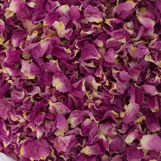گل محمدی خشک فقط برگ در بسته بندی (1کیلوگرمی )کیفیت عالی