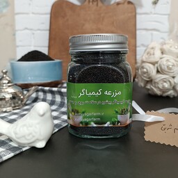 تخم شربتی درشت اعلاء 250گرمی ظرف شیشه ای 