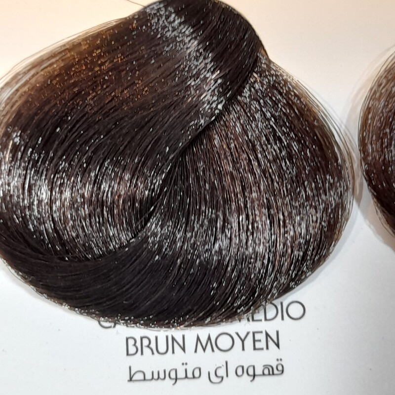رنگ مو نچرال اینستینکس N4 قهوه ای متوسط 