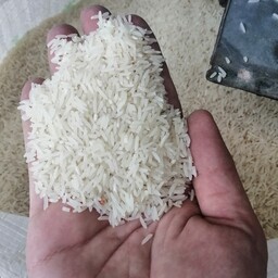 برنج فجر سوزنی خوش عطر و خوش پخت قبل  ارسال براتون  بوجار میکنیم   بسته های  10 کیلویی