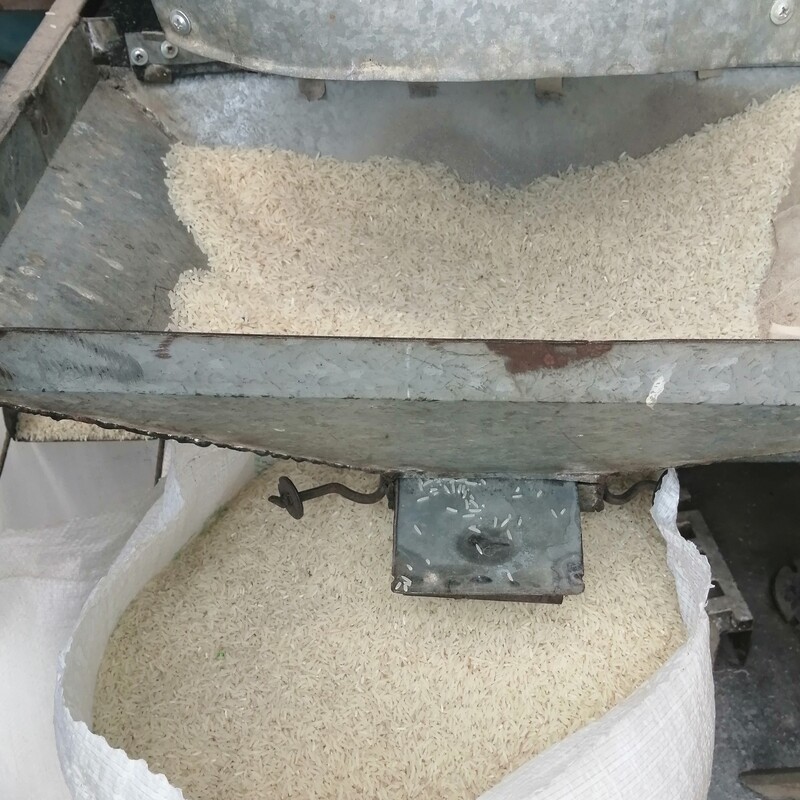 برنج فجر سوزنی خوش عطر و خوش پخت قبل  ارسال براتون  بوجار میکنیم   بسته های  10 کیلویی
