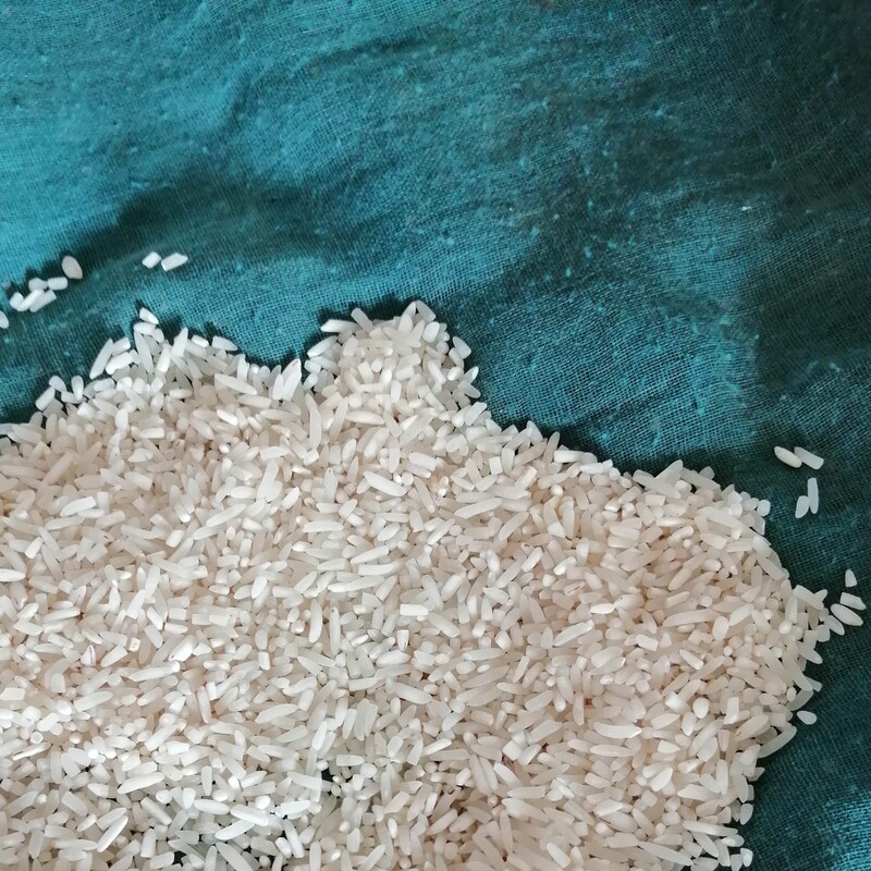 سرلاشه  برنج فجر سوزنی  تمیز  با شکستگی خیلی کم  قیمت مناسب  کیلویی 45 تومن بسته 10 کیلویی