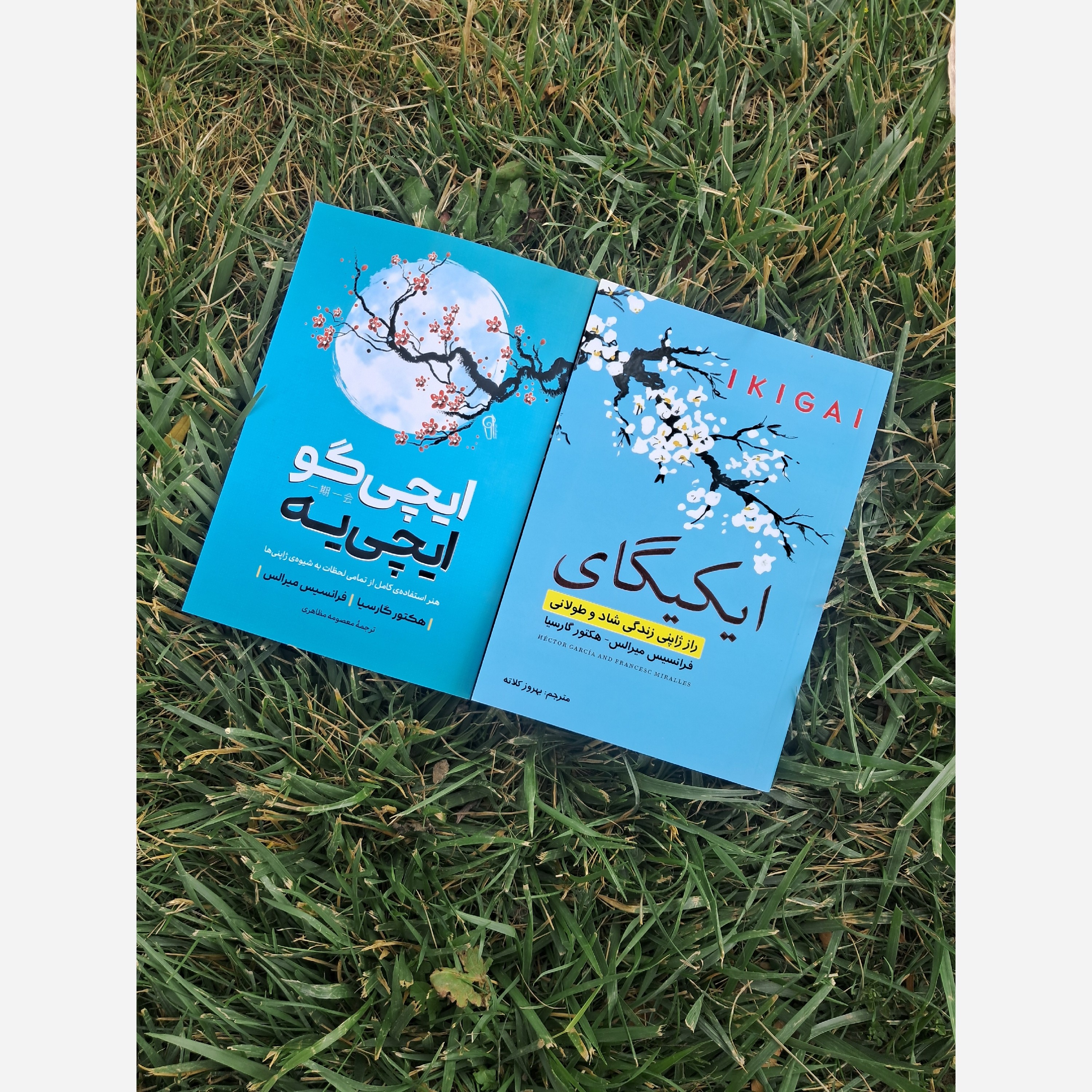 کتاب ایکیگای+ایچی گو ایچی یه