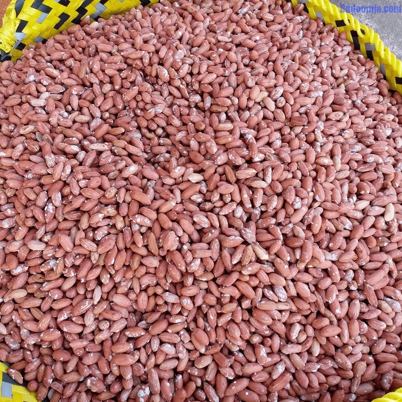 بادام زمینی آستانه ممتاز  (900گرم خالص)