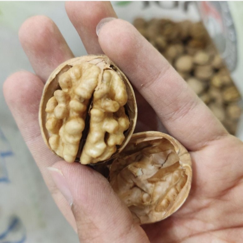 گردو پوست کاغذی چرب مغز سفید500گرمی بار لوکس
