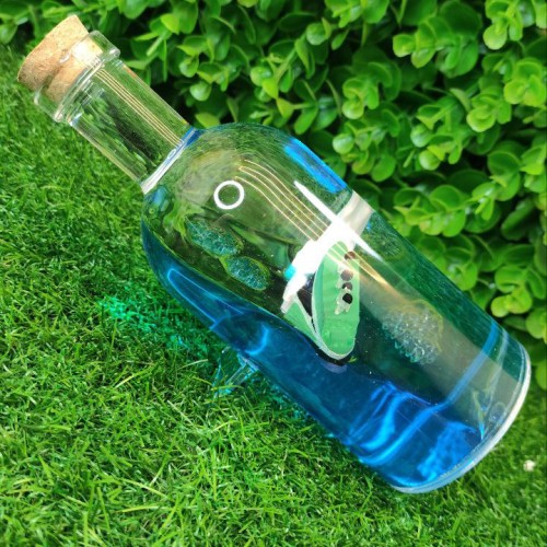 بطری کشتی آکواریومی