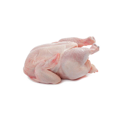 گوشت پرندگان