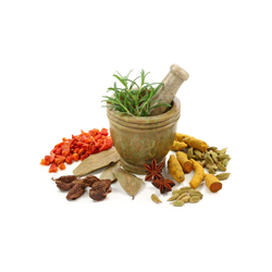 گیاهان دارویی