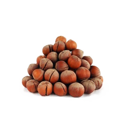فندق