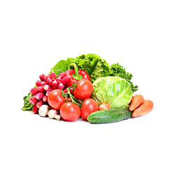 صیفی جات و سبزی جات