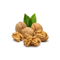 گردو