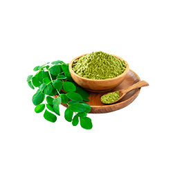 عطاری و گیاهان دارویی