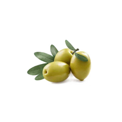 زیتون