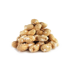 بادام زمینی