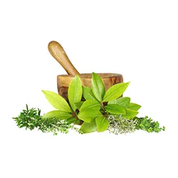 گیاه درمانی