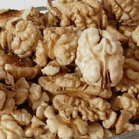 الناز بیات
