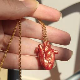 گردنبند قلب آناتومیک قرمز طلایی با زنجیر استیل
