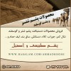 صالح