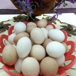 تخم مرغ محلی (جهادی نیست ) محصول روستا