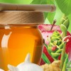 فروشگاه مزرعه سبز