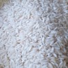 برنج عنبربوی محمد