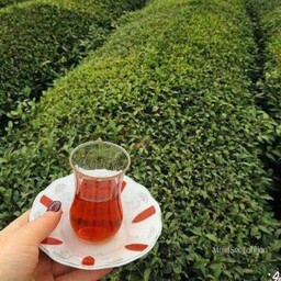 چای سیاه قلم لیزری ایرانی نیم کیلوئی