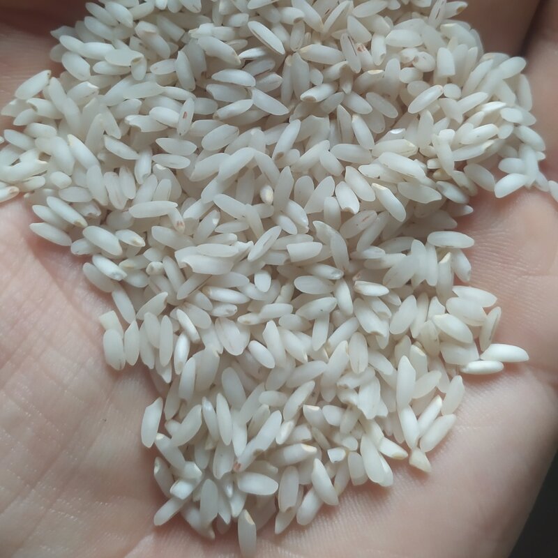 برنج عنبربو عطری خوزستان 10 کیلویی (ارسال رایگان) 