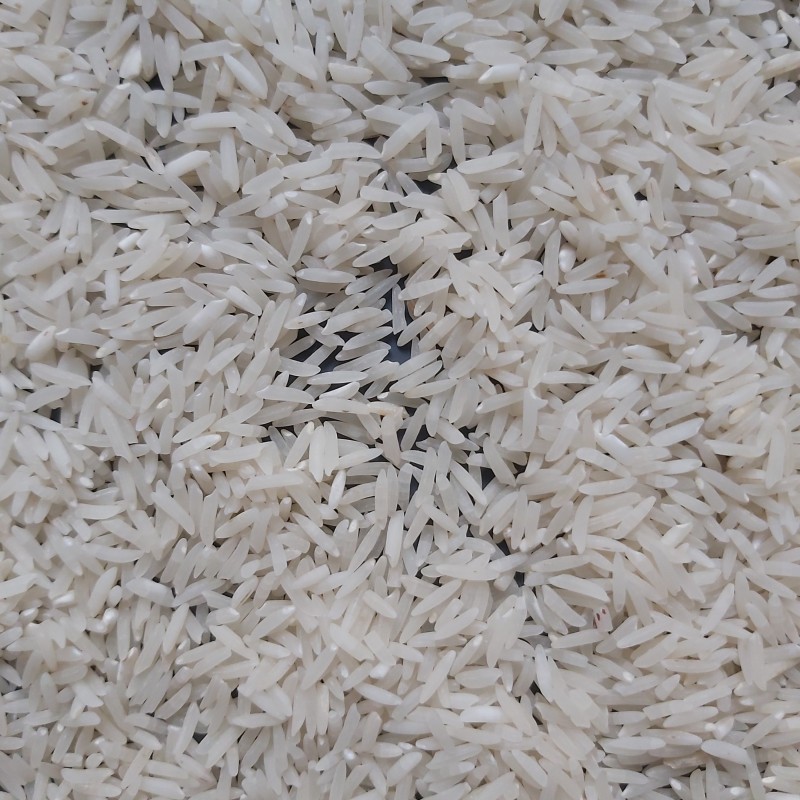 برنج فجر سوزنی تالش (عمده)(100 کیلو)