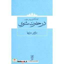 کتاب اندک گستاخ و بیش مودب در حضرت مثنوی