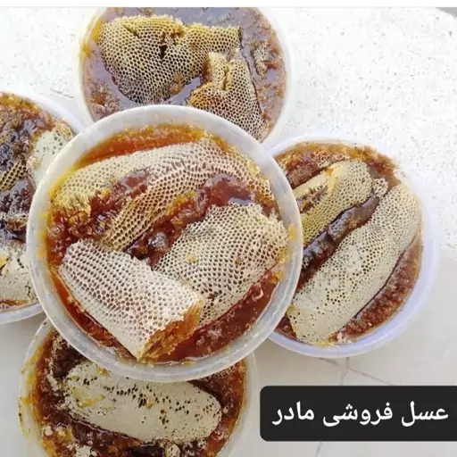 عسل شاخه ای وحشی(عسل فروشی مادر)