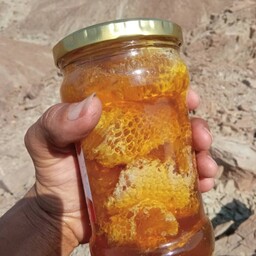 عسل وحشی قرمز زنبورریزنایاب بلوچستان رطوبت صفر درصد
