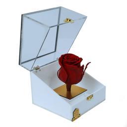 باکس رز جاودان تمام پلکسی صدرا باکس گل قرمز
