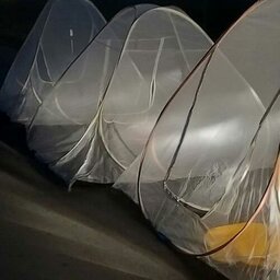 پشه بند مدل چادر مسافرتی کیف ضخیم فنری 8 نفره