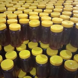 عسل 1000گرمی چهل گیاه طبیعی مناسب برای فروش در عمده فروشی ها و سوپر مارکت ها 
