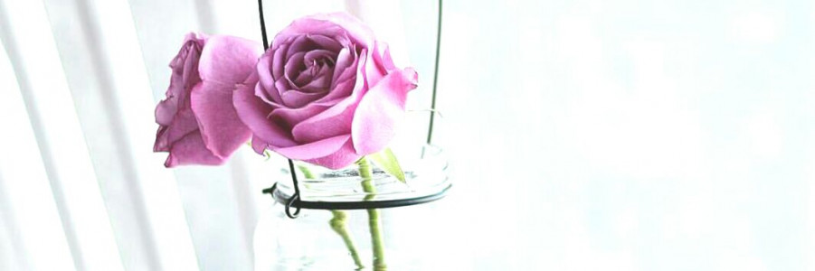 باغ شیشه ای