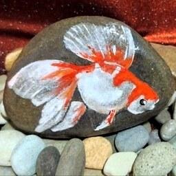 نقاشی روی سنگ، طرح ماهی گلی 2