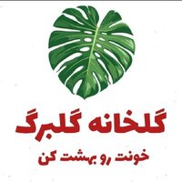 فاطمه طرقی