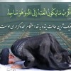 محصولات رودون